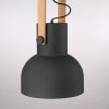 2.0 Suspension Luminaires Leuchten Direkt LED Brun, Noir, 1 lumière