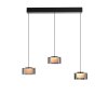 Rika Suspension Luminaires Paul Neuhaus LED Noir, 3 lumières