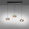 Rika Suspension Luminaires Paul Neuhaus LED Noir, 3 lumières