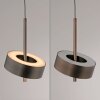 Q-Rotate Suspension Luminaires Paul Neuhaus LED Brun, 1 lumière, Télécommandes