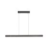 Round Suspension Luminaires Paul Neuhaus LED Noir, 2 lumières