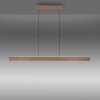 Round Suspension Luminaires Paul Neuhaus LED Brun, 2 lumières