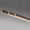 Round Suspension Luminaires Paul Neuhaus LED Brun, 2 lumières