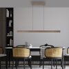 Round Suspension Luminaires Paul Neuhaus LED Brun, 2 lumières
