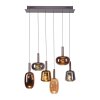 Irides Suspension Luminaires Paul Neuhaus LED Brun, 6 lumières