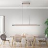 Hoop Suspension Luminaires Paul Neuhaus LED Brun, Argenté, 1 lumière