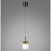 Q-Kon Suspension Luminaires Paul Neuhaus LED Brun, 1 lumière, Télécommandes