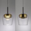 Q-Kon Suspension Luminaires Paul Neuhaus LED Brun, 1 lumière, Télécommandes