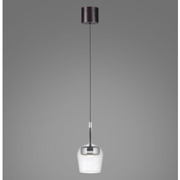 Q-Kon Suspension Paul Neuhaus Q-Serie LED Brun, 1 lumière, Télécommandes
