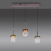 Q-Kon Suspension Paul Neuhaus Q-Serie LED Brun, 3 lumières, Télécommandes