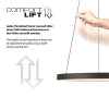 Hoop Suspension Luminaires Paul Neuhaus LED Noir, 1 lumière