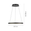 Hoop Suspension Luminaires Paul Neuhaus LED Noir, 1 lumière