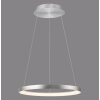 Hoop Suspension Luminaires Paul Neuhaus LED Argenté, 1 lumière