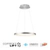Hoop Suspension Luminaires Paul Neuhaus LED Argenté, 1 lumière