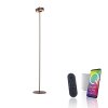 Q-Rotate Lampadaire Paul Neuhaus Q-Serie LED Brun, 1 lumière, Télécommandes