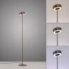 Q-Rotate Lampadaire Paul Neuhaus Q-Serie LED Brun, 1 lumière, Télécommandes