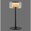 Rika Lampe à poser Luminaires Paul Neuhaus LED Noir, 1 lumière