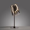 Zula Lampe à poser Luminaires Paul Neuhaus LED Noir, 1 lumière