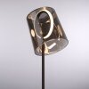 Zula Lampe à poser Luminaires Paul Neuhaus LED Noir, 1 lumière