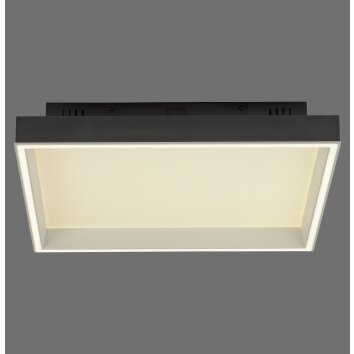 Q-Magong Plafonnier Paul Neuhaus Q-Serie LED Noir, 1 lumière, Télécommandes