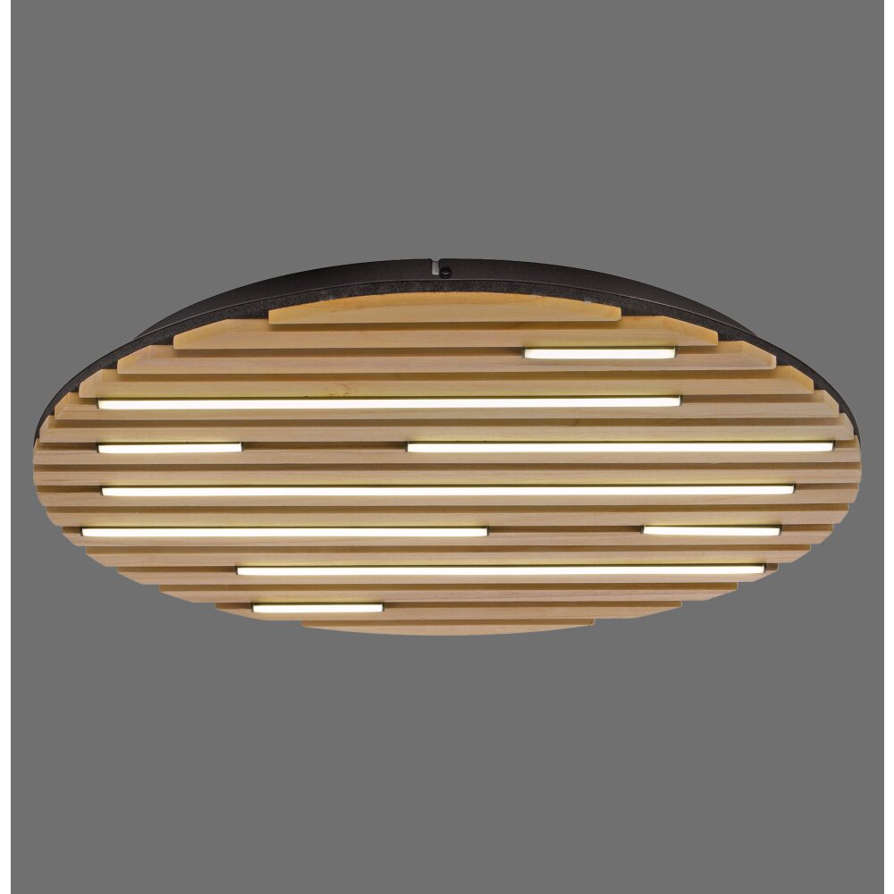 Q-Akustik Applique murale / Plafonnier Paul Neuhaus Q-Serie LED Brun, Noir, 1 lumière, Télécommandes main product photo