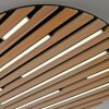 Q-Akustik Applique murale / Plafonnier Paul Neuhaus Q-Serie LED Brun, Noir, 1 lumière, Télécommandes
