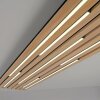 Q-Akustik Applique murale / Plafonnier Paul Neuhaus Q-Serie LED Brun, Noir, 1 lumière, Télécommandes