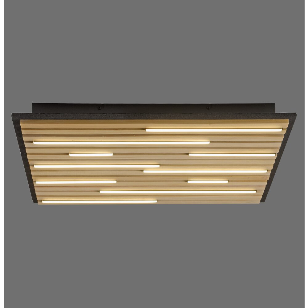 Q-Akustik Applique murale / Plafonnier Paul Neuhaus Q-Serie LED Brun, Noir, 1 lumière, Télécommandes main product photo