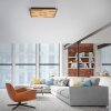 Q-Akustik Applique murale / Plafonnier Paul Neuhaus Q-Serie LED Brun, Noir, 1 lumière, Télécommandes