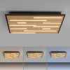 Q-Akustik Applique murale / Plafonnier Paul Neuhaus Q-Serie LED Brun, Noir, 1 lumière, Télécommandes