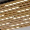 Q-Akustik Applique murale / Plafonnier Paul Neuhaus Q-Serie LED Brun, Noir, 1 lumière, Télécommandes