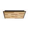 Q-Akustik Applique murale / Plafonnier Paul Neuhaus Q-Serie LED Brun, Noir, 1 lumière, Télécommandes