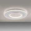 Q-Kalina Plafonnier Luminaires Paul Neuhaus LED Blanc, 1 lumière, Télécommandes