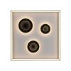 Dune Plafonnier Luminaires Paul Neuhaus LED Noir, 1 lumière, Télécommandes