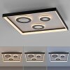 Dune Plafonnier Luminaires Paul Neuhaus LED Noir, 1 lumière, Télécommandes