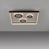 Dune Plafonnier Luminaires Paul Neuhaus LED Noir, 1 lumière, Télécommandes