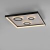 Dune Plafonnier Luminaires Paul Neuhaus LED Noir, 1 lumière, Télécommandes