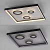 Dune Plafonnier Luminaires Paul Neuhaus LED Noir, 1 lumière, Télécommandes