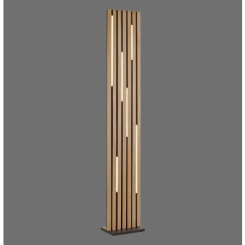 Q-Akustik Lampadaire Paul Neuhaus Q-Serie LED Brun, Noir, 1 lumière, Télécommandes