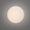 Olaf Applique murale / Plafonnier Luminaires Paul Neuhaus LED Gris, 1 lumière