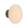 Olaf Applique murale / Plafonnier Luminaires Paul Neuhaus LED Gris, 1 lumière