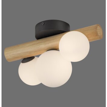 Popsicle Applique murale / Plafonnier Luminaires Paul Neuhaus LED Brun, Noir, 3 lumières