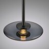 Vitrum Suspension Luminaires Paul Neuhaus LED Gris, 2 lumières