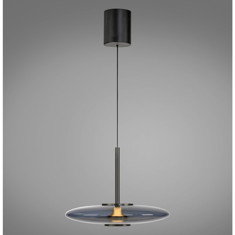 E-Vitrum Suspension Luminaires Paul Neuhaus LED Gris, 2 lumières, Télécommandes main product photo