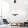 E-Vitrum Suspension Luminaires Paul Neuhaus LED Gris, 2 lumières, Télécommandes