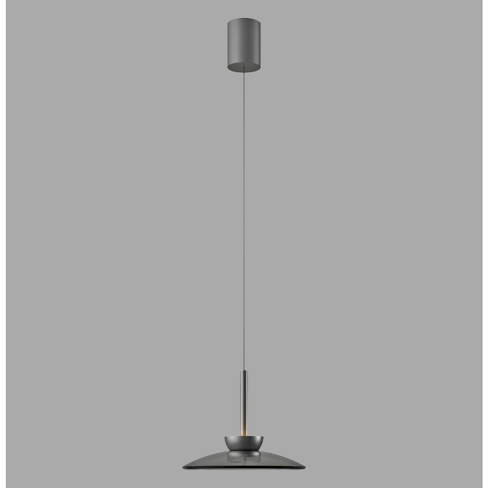Moon Suspension Luminaires Paul Neuhaus LED Gris, 2 lumières main product photo