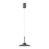 Moon Suspension Luminaires Paul Neuhaus LED Gris, 2 lumières