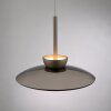 Moon Suspension Luminaires Paul Neuhaus LED Bronze, 2 lumières