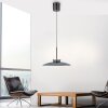 E-Moon Suspension Luminaires Paul Neuhaus LED Gris, 2 lumières, Télécommandes