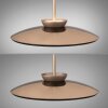 E-Moon Suspension Luminaires Paul Neuhaus LED Bronze, 2 lumières, Télécommandes